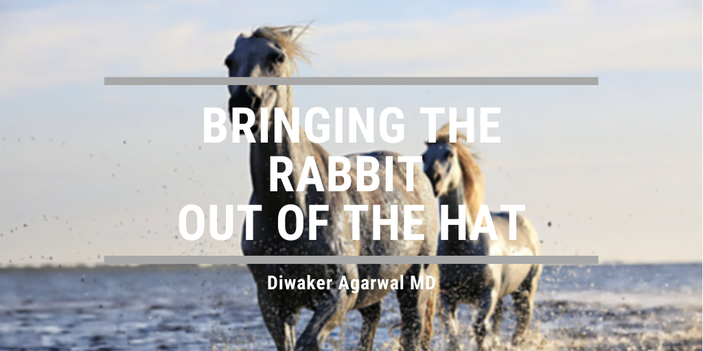 Bringing the Rabbit out of the Hat